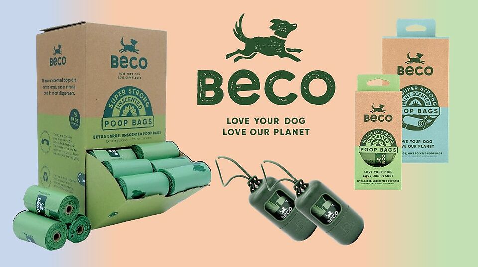 Beco
