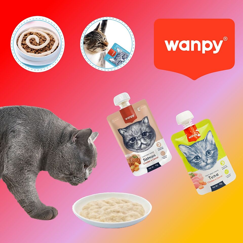 New Wanpy meat pastes